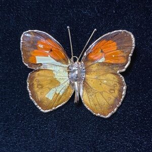 Vintage Orange Gold and Brown Butterfly Brooch lapel pin